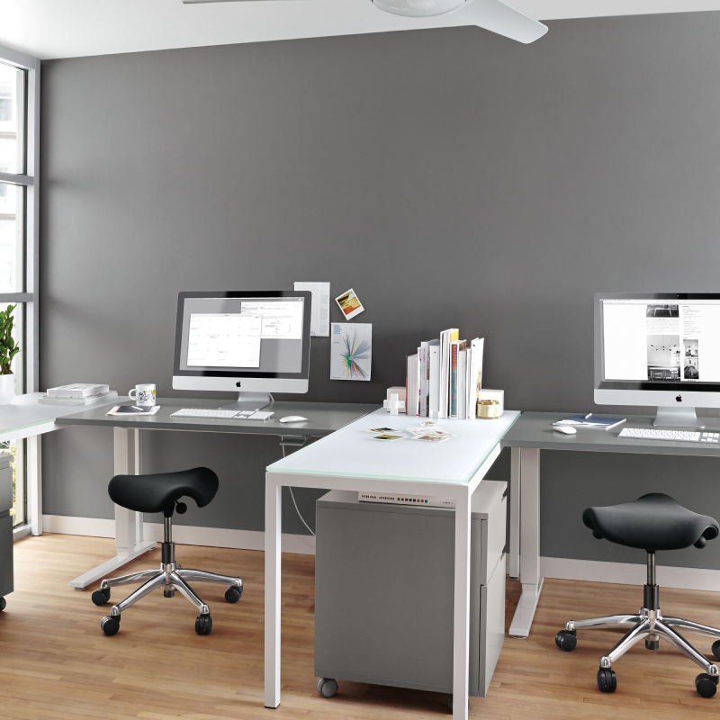 Saddle/Pony